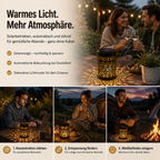 2er-Set Solar-Pfingstrosenlampen