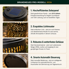 2er-Set Solar-Pfingstrosenlampen