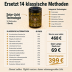 2er-Set Solar-Pfingstrosenlampen
