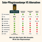 2er-Set Solar-Pfingstrosenlampen