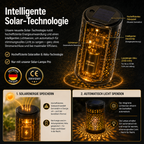 2er-Set Solar-Pfingstrosenlampen